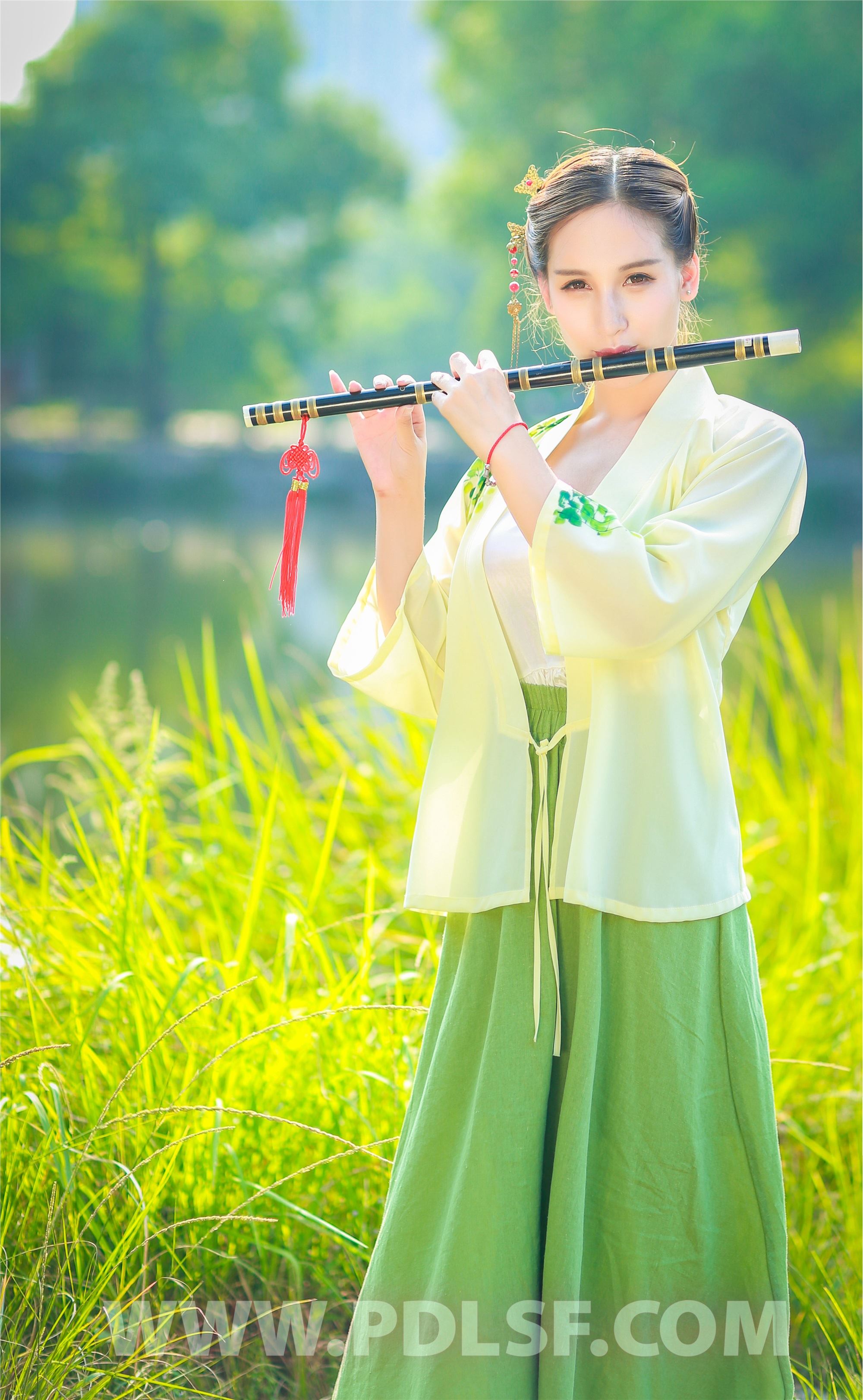 PDL潘多拉 2020.02.22 专辑No.281